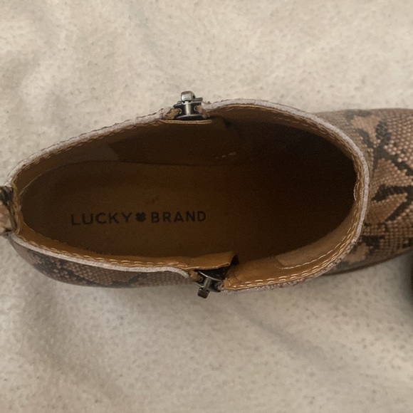 Snake Skin Lucky Brand Boots!! - Picture 6 of 6